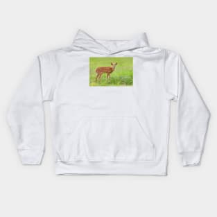 Fawn - White-tailed deer Kids Hoodie